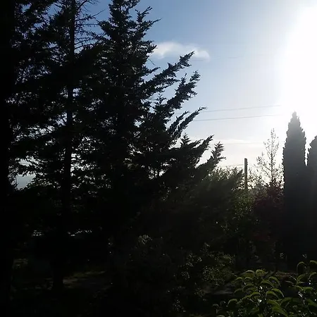 Panorama Del Chianti * Certaldo